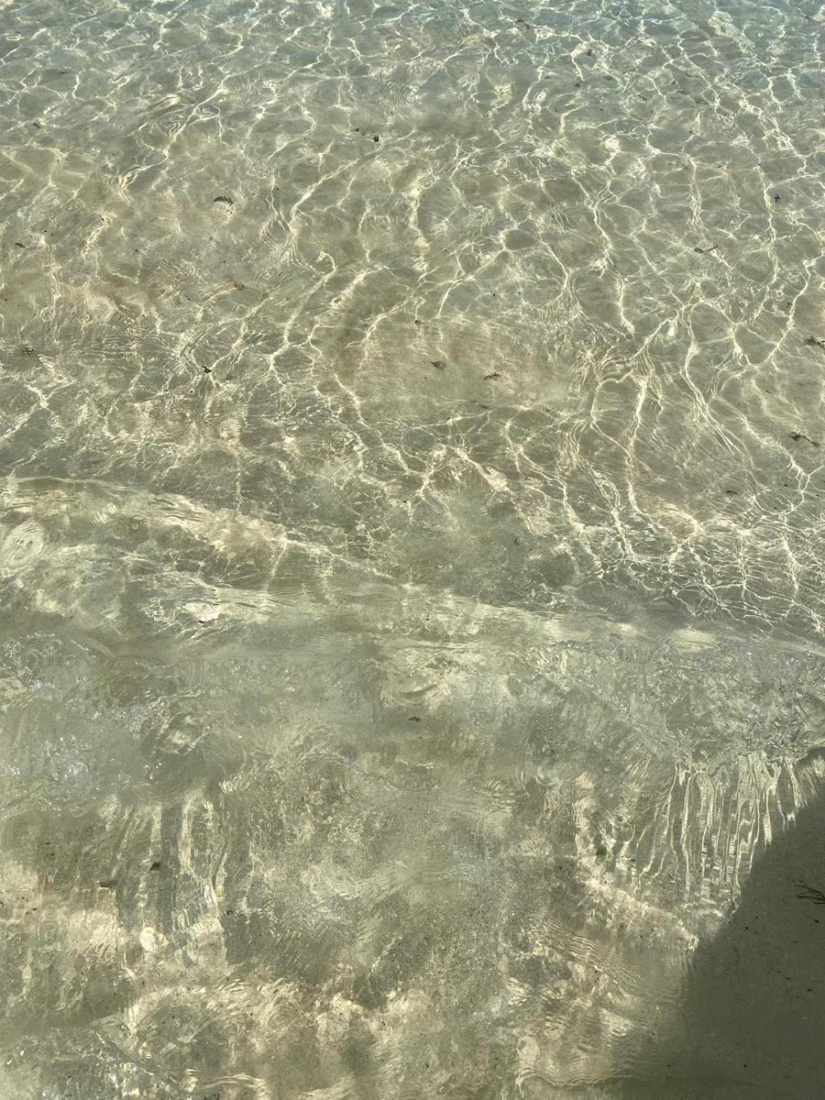 Cotillo מראה חיצוני תמונה